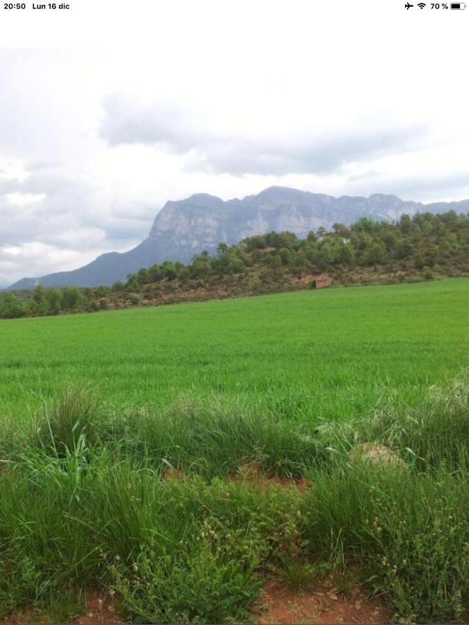 Vistas A La Montana En Un Pueblo Con Encanto. Эль-Пуэйо-де-Арагуас Экстерьер фото